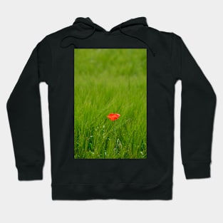 Poppy in Wheat Field Hoodie